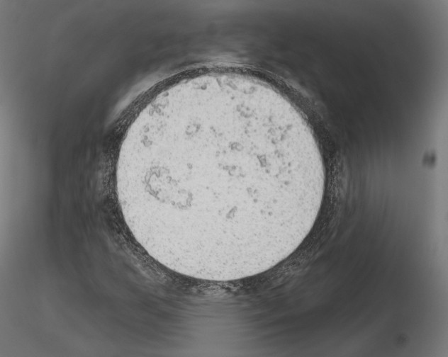X0000115071255200912081140