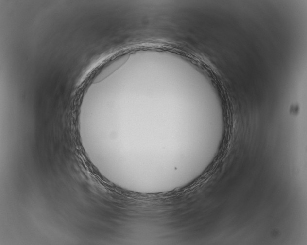 X0000115071256200912081140