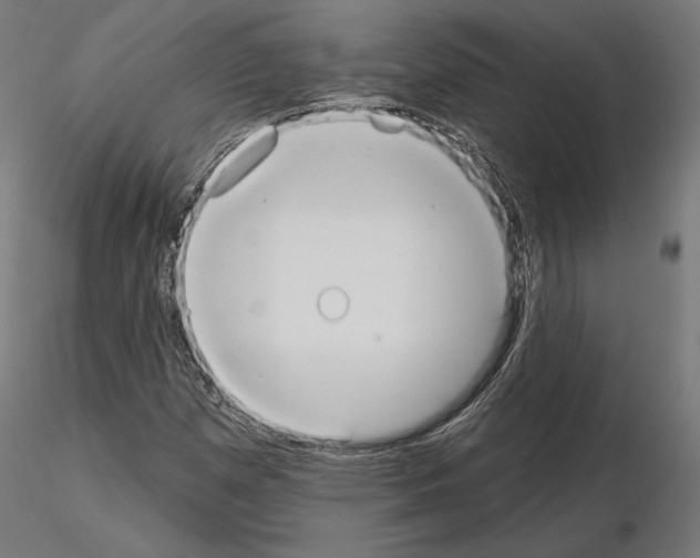 X0000115071257200912081140