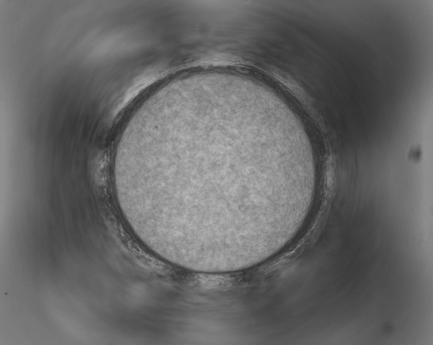 X0000115071258200912081140