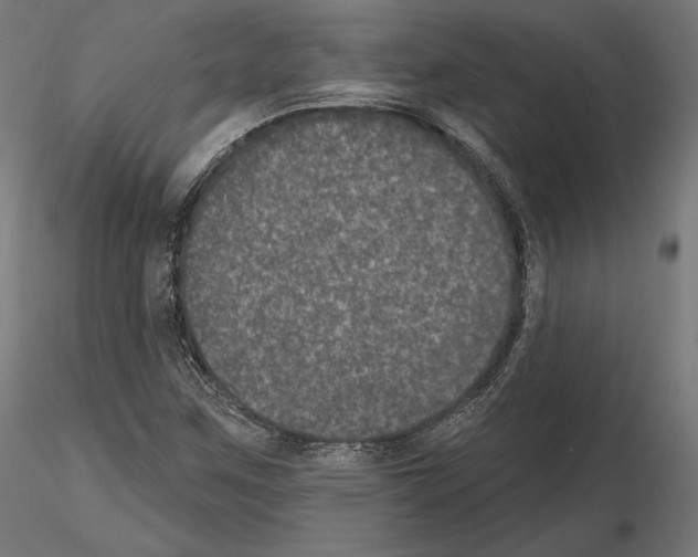 X0000115071259200912081140