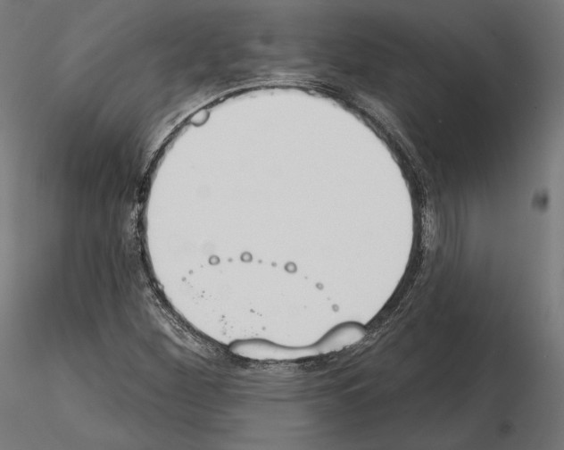 X0000115071260200912081140