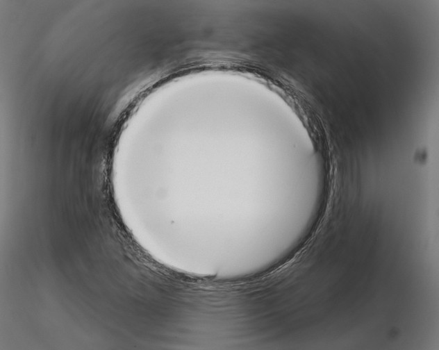 X0000115071261200912081139