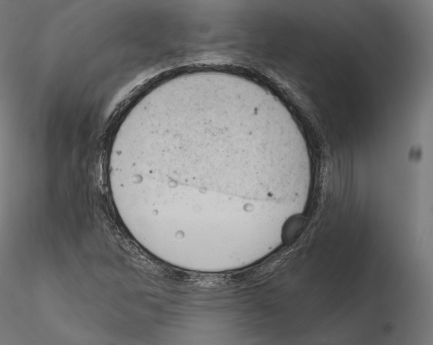 X0000115071262200912081139