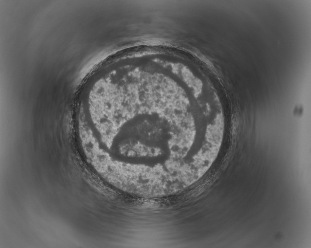 X0000115071263200912081139