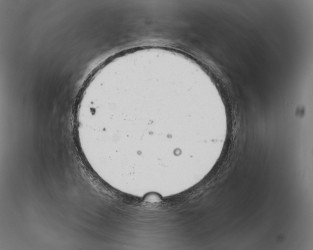 X0000115071264200912081139