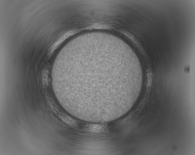 X0000115071266200912081139