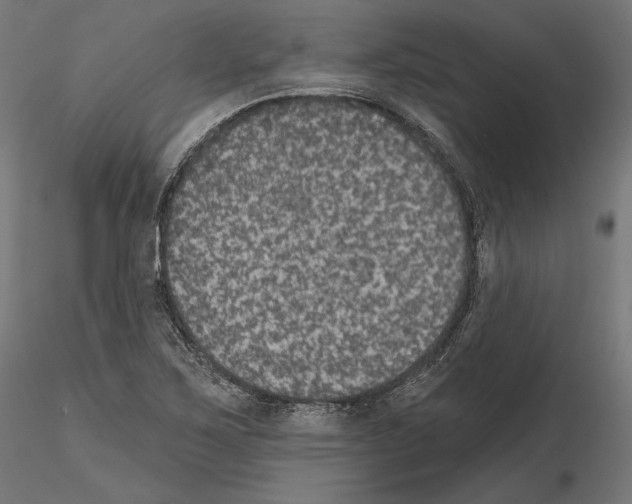 X0000115071267200912081139
