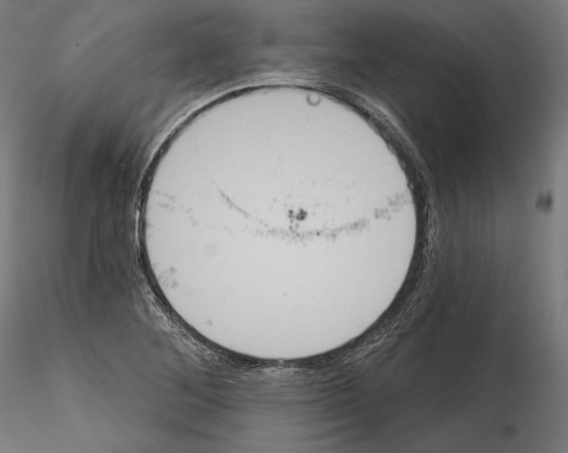X0000115071268200912081139