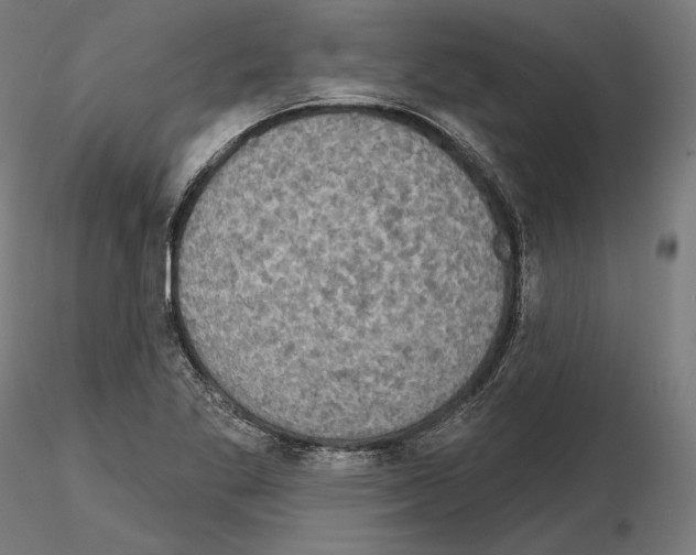X0000115071269200912081139