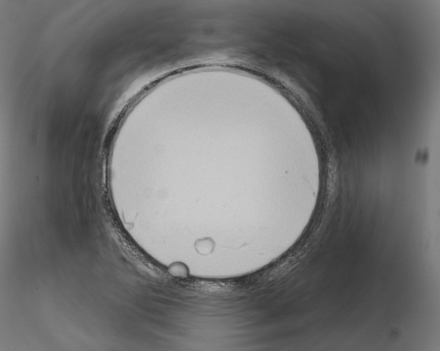 X0000115071270200912081139