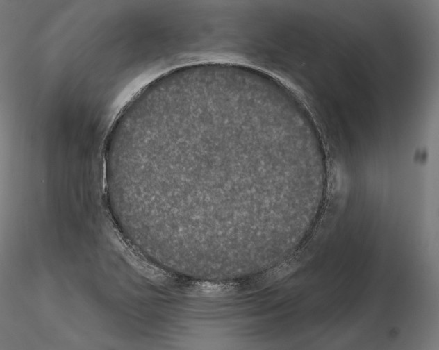 X0000115071271200912081139