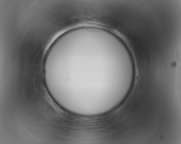 X0000115071272200912081139