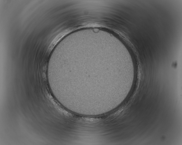 X0000115071273200912081139