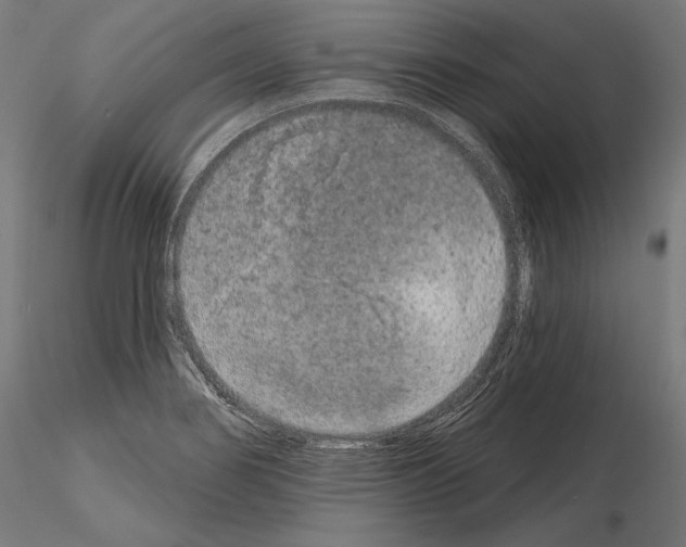 X0000115071274200912081139