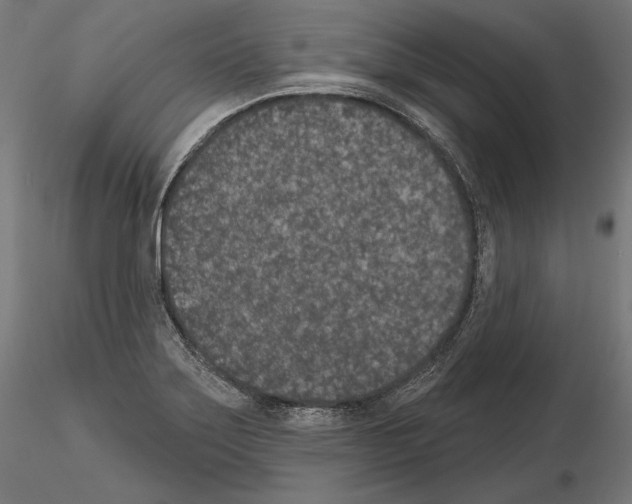 X0000115071275200912081139