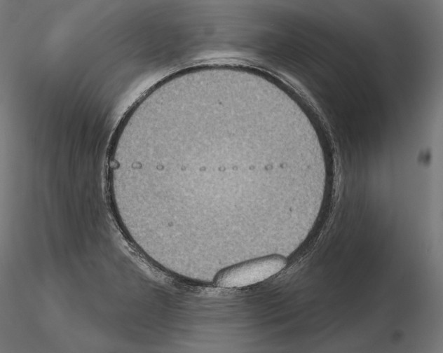X0000115071277200912081139
