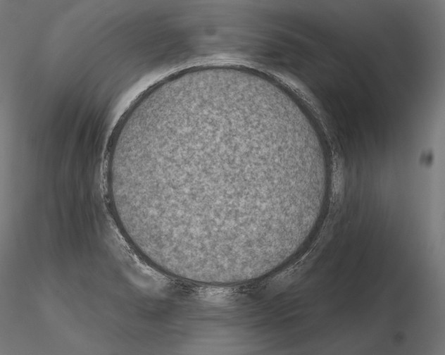 X0000115071278200912081139