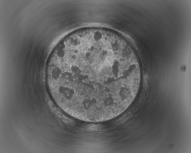 X0000115071279200912081139