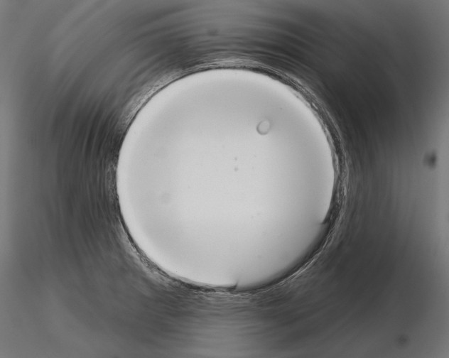 X0000115071281200912081139