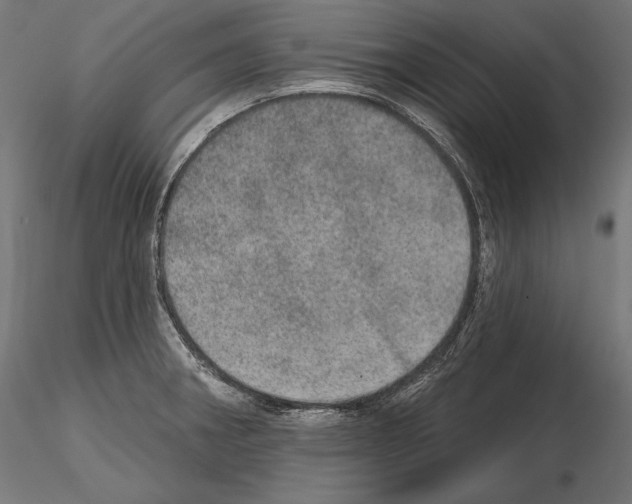 X0000115071282200912081139