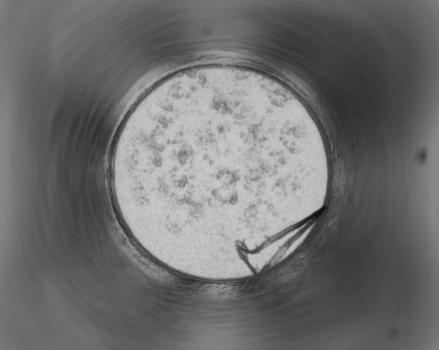 X0000115071283200912081139