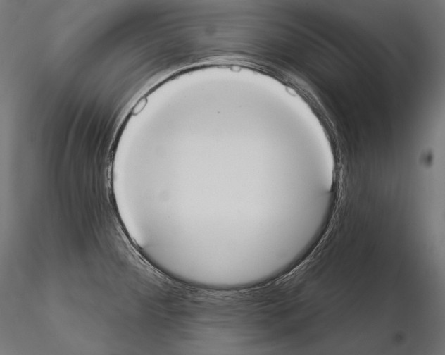 X0000115071284200912081139