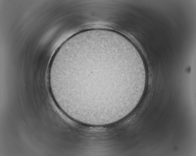 X0000115071285200912081139