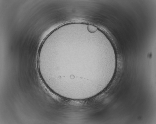 X0000115071286200912081139