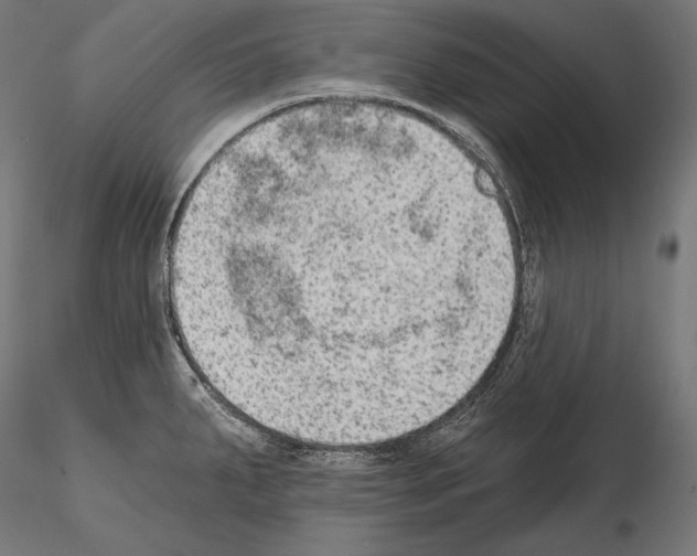 X0000115071287200912081139
