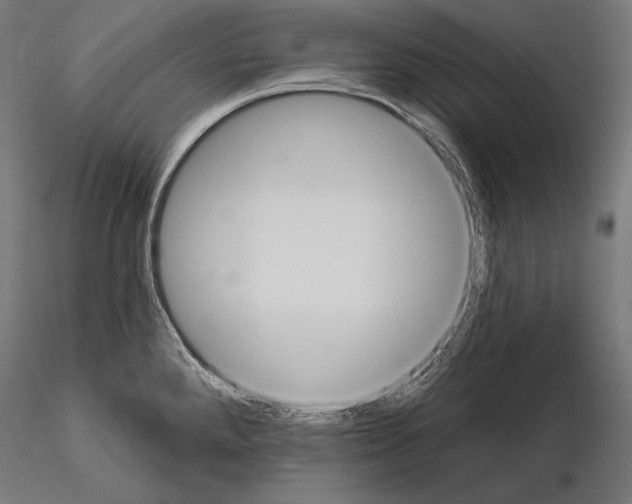 X0000115071288200912081139