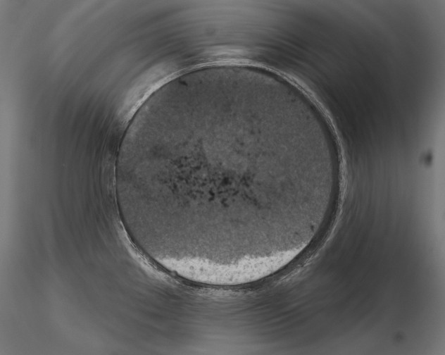 X0000115071289200912081139