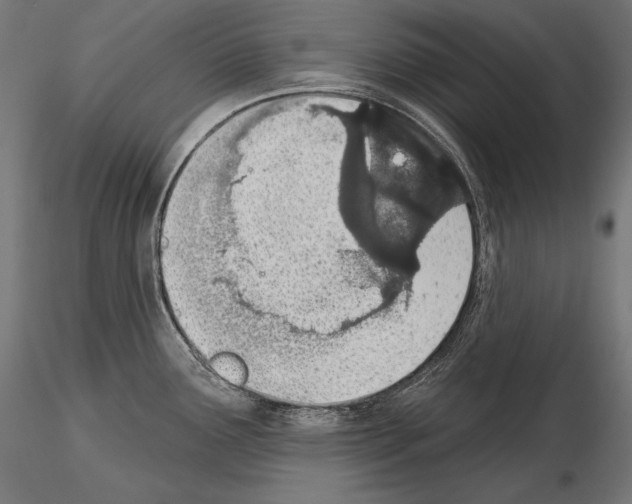 X0000115071291200912081139