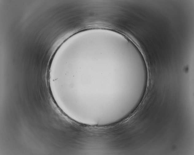 X0000115071293200912081139