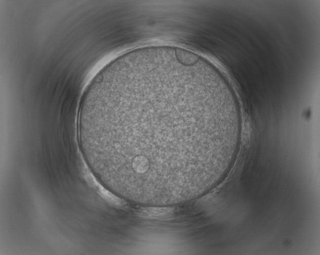 X0000115071294200912081139