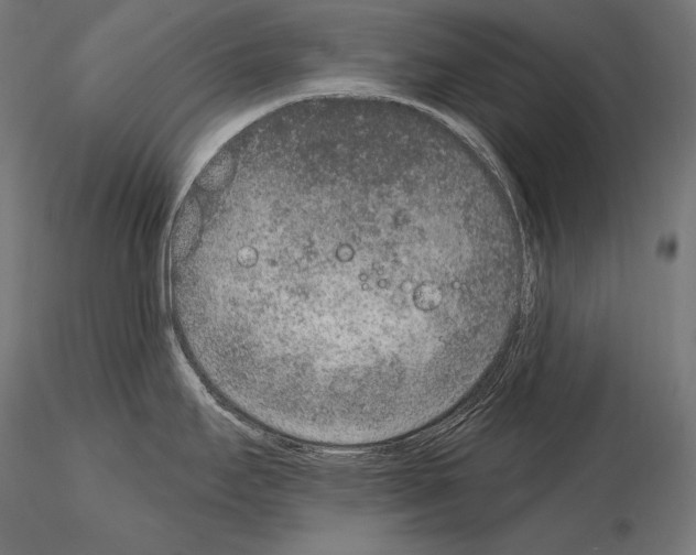 X0000115071295200912081139