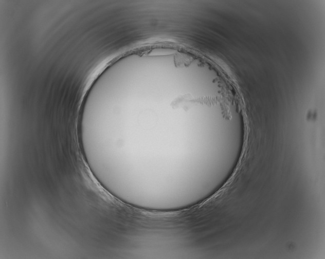 X0000115071296200912081139