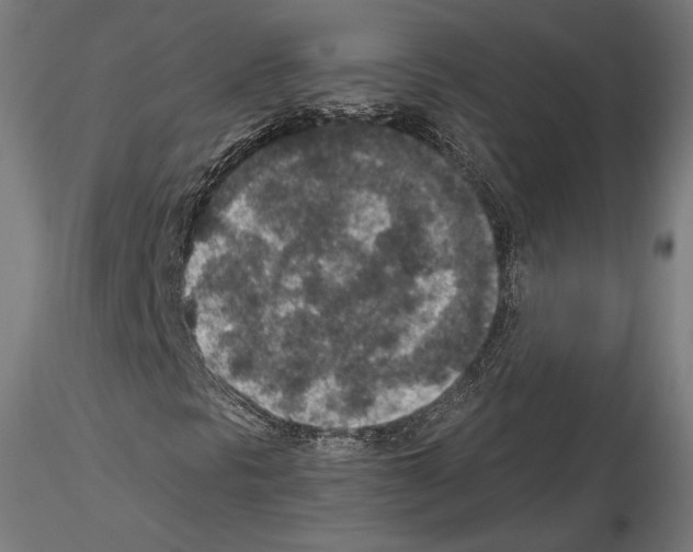 X0000115071297200912081138