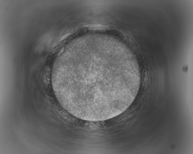 X0000115071301200912081138