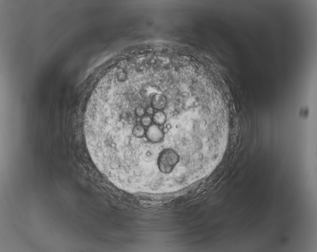 X0000115071302200912081138