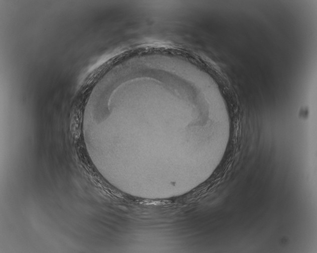 X0000115071303200912081138