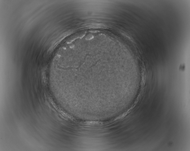 X0000115071305200912081138