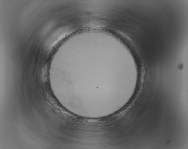 X0000115071306200912081138