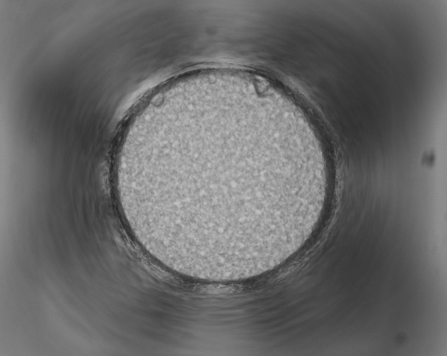 X0000115071307200912081138
