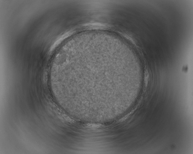X0000115071309200912081139