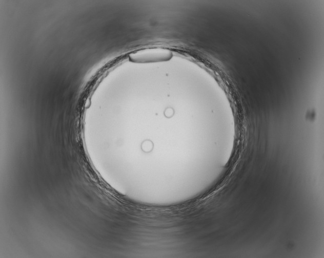 X0000115071310200912081139