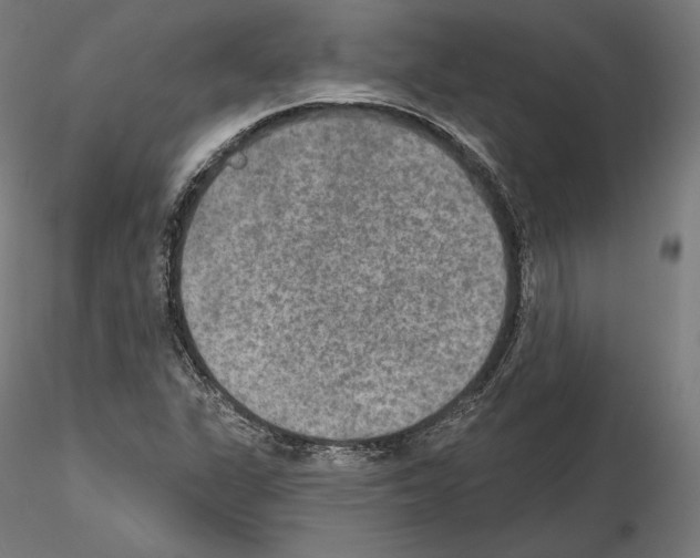 X0000115071311200912081139