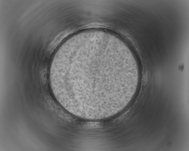 X0000115071313200912081139