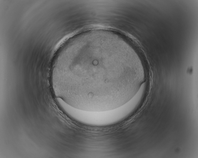 X0000115071314200912081139