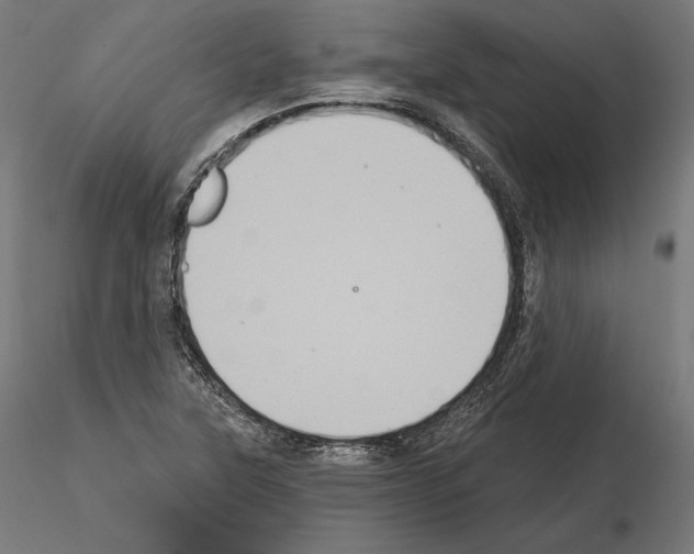 X0000115071315200912081139
